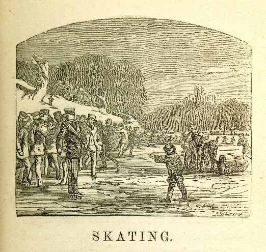 Illustration Skating from Skating and Sliding